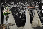 Bellissima wedding show 2011